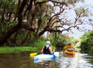 estero river canoe