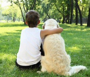 Pet Park in West Bay Beach and Golf Club